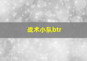 战术小队btr