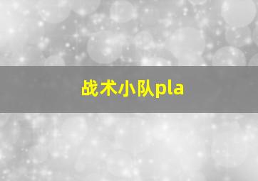 战术小队pla