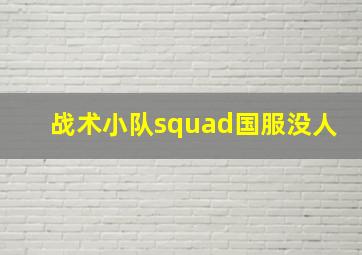 战术小队squad国服没人