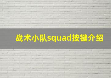 战术小队squad按键介绍