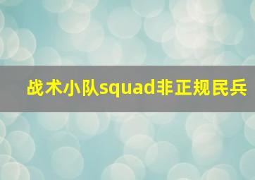 战术小队squad非正规民兵