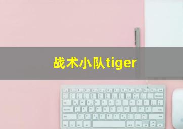 战术小队tiger