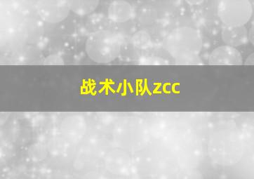 战术小队zcc