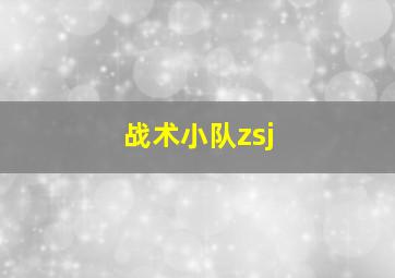 战术小队zsj