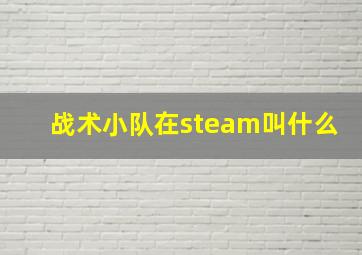 战术小队在steam叫什么