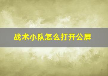 战术小队怎么打开公屏