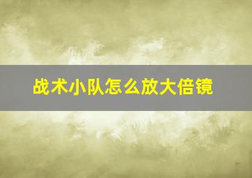 战术小队怎么放大倍镜