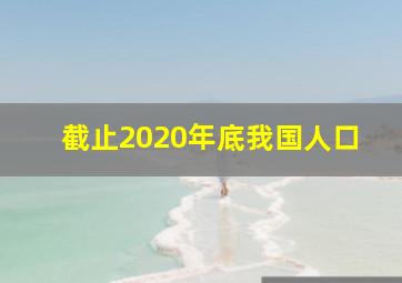 截止2020年底我国人口