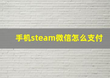 手机steam微信怎么支付