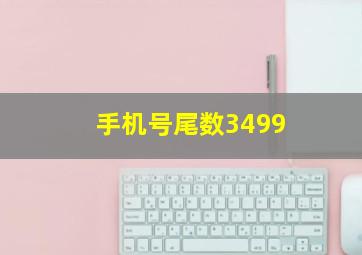 手机号尾数3499