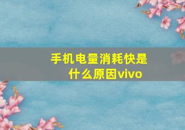 手机电量消耗快是什么原因vivo