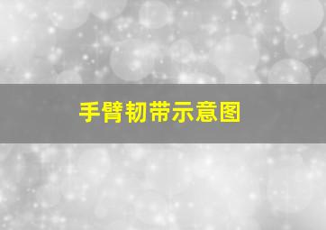 手臂韧带示意图