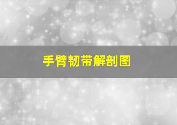 手臂韧带解剖图