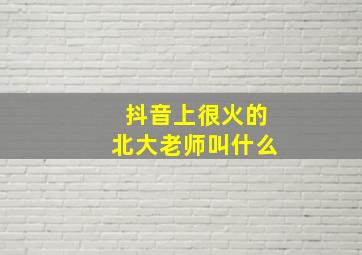 抖音上很火的北大老师叫什么