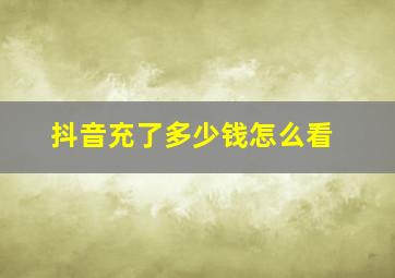 抖音充了多少钱怎么看