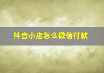 抖音小店怎么微信付款