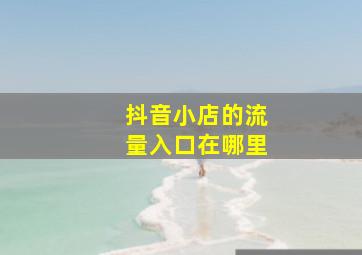 抖音小店的流量入口在哪里