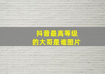 抖音最高等级的大哥是谁图片