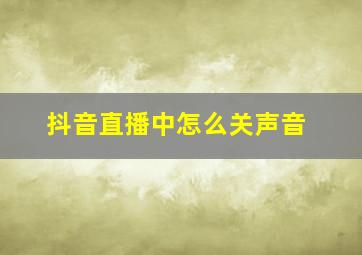 抖音直播中怎么关声音