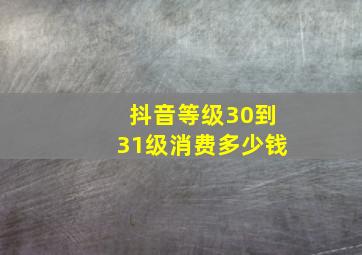 抖音等级30到31级消费多少钱