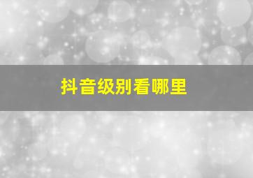 抖音级别看哪里