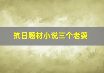 抗日题材小说三个老婆