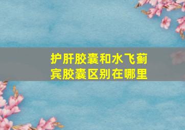 护肝胶囊和水飞蓟宾胶囊区别在哪里