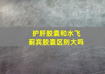 护肝胶囊和水飞蓟宾胶囊区别大吗