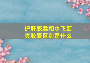 护肝胶囊和水飞蓟宾胶囊区别是什么