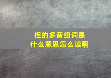 担的多音组词是什么意思怎么读啊