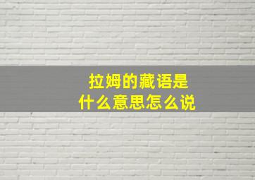 拉姆的藏语是什么意思怎么说