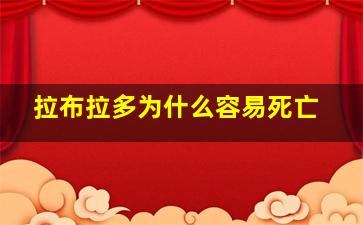 拉布拉多为什么容易死亡