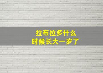 拉布拉多什么时候长大一岁了