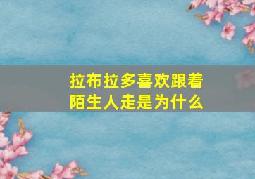 拉布拉多喜欢跟着陌生人走是为什么