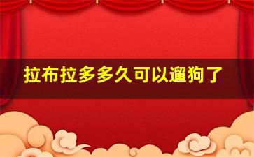 拉布拉多多久可以遛狗了