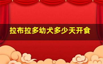 拉布拉多幼犬多少天开食