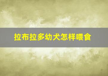 拉布拉多幼犬怎样喂食