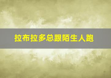 拉布拉多总跟陌生人跑