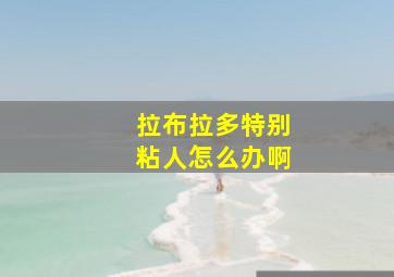 拉布拉多特别粘人怎么办啊