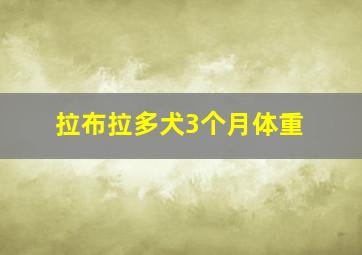 拉布拉多犬3个月体重