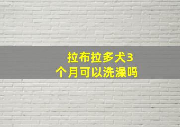 拉布拉多犬3个月可以洗澡吗