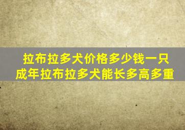 拉布拉多犬价格多少钱一只成年拉布拉多犬能长多高多重