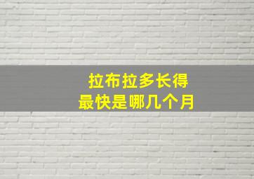 拉布拉多长得最快是哪几个月