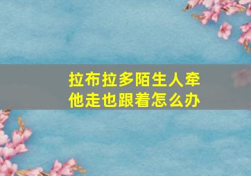 拉布拉多陌生人牵他走也跟着怎么办