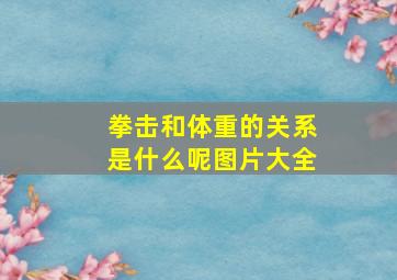 拳击和体重的关系是什么呢图片大全