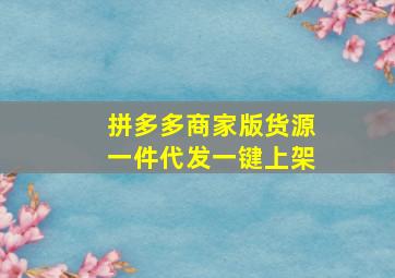 拼多多商家版货源一件代发一键上架