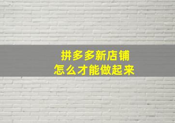 拼多多新店铺怎么才能做起来