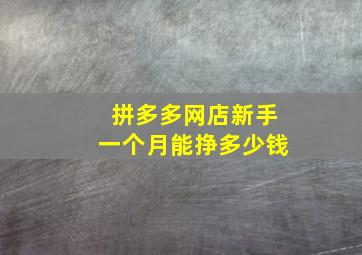 拼多多网店新手一个月能挣多少钱