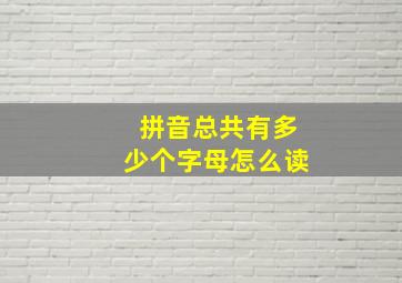 拼音总共有多少个字母怎么读