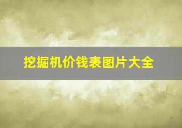 挖掘机价钱表图片大全